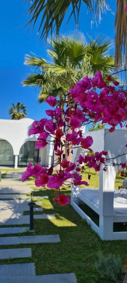 Maison - Dar Ouled Soltane Gammarth Exteriér fotografie
